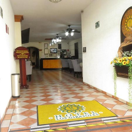 Hotel Los Girasoles Tepic Εξωτερικό φωτογραφία