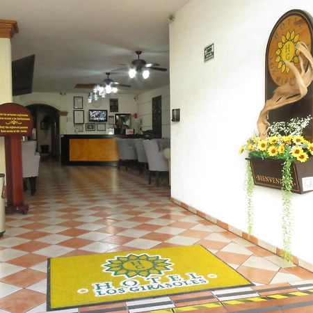 Hotel Los Girasoles Tepic Εξωτερικό φωτογραφία